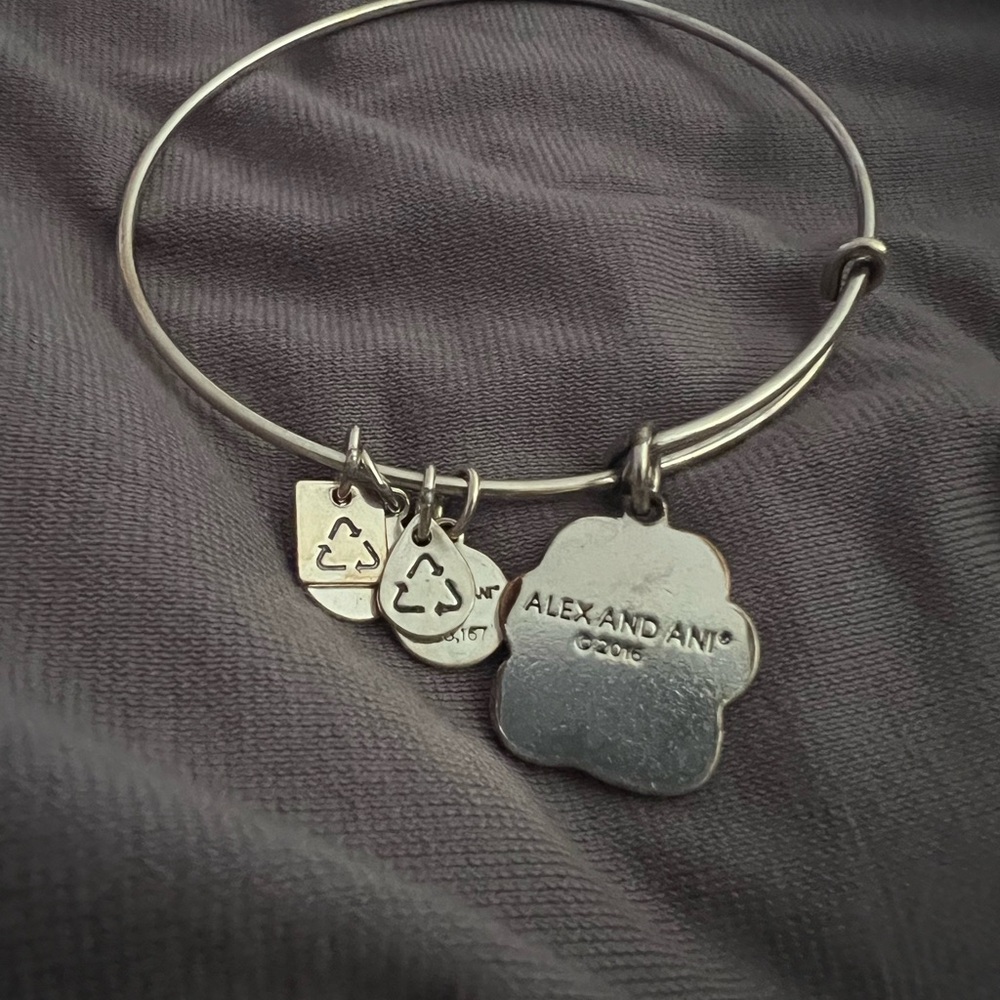 Alex & Ani Silver Charm Bangle Bracelet - Picture 2 of 2